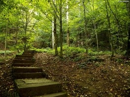 Traseu de drumeție prin pădure, cele 300 de scări din Slănic Moldova